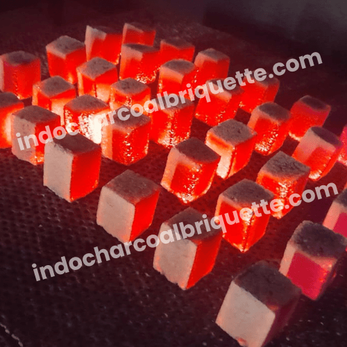 Briquetas de Carbón de Cáscara de Coco