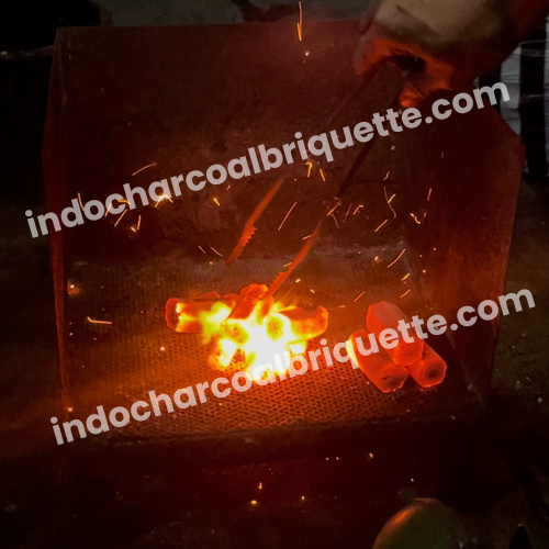 Briquette de charbon de coque de noix de coco 2