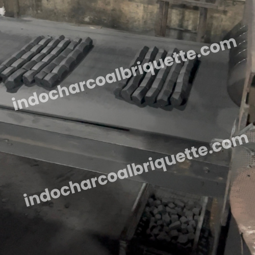 Línea de producción de carbón de coco de Indonesia 2