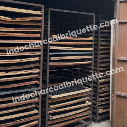 Línea de producción de carbón de coco de Indonesia 4