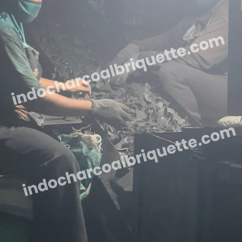 Línea de producción de carbón de coco de Indonesia 6