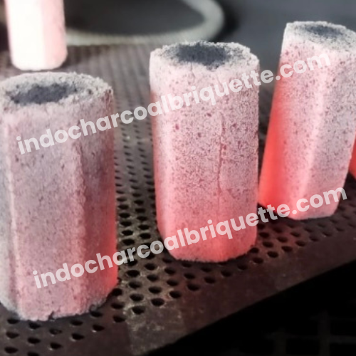 Briquette de charbon de coque de noix de coco 9