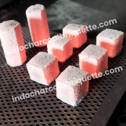 Briquette de charbon de coque de noix de coco 10